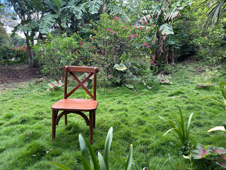 A wooden chair in the foreground, in a garden with green grass.