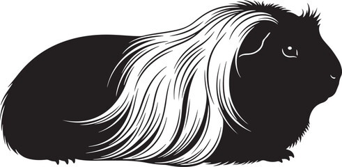 Adorable long haired black and white guinea pig profile side view simple artistic rendering cute rodent pet animal