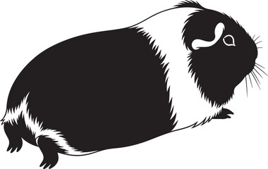 Adorable guinea pig pet cute rodent black and white portrait of a domesticated cavy