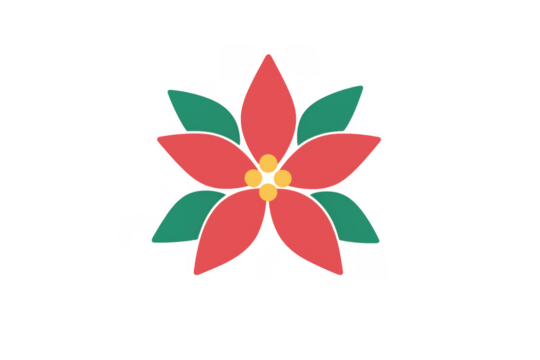 Poinsettia flower flat vector illustration. Christmas and holiday season floral decoration. Traditional festive plant design on transparent background