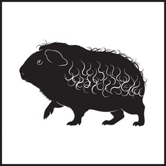 Cute fluffy guinea pig silhouette with detailed fur texture captured in a classic artistic style for animal lovers