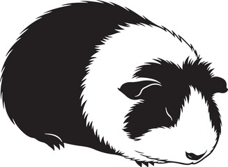 Adorable black and white guinea pig portrait capturing its fluffy texture and gentle nature a cute rodent friend