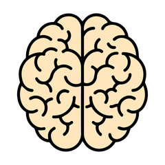 Brain, human brain icon isolated on white, intelligence, thinking, psychology, neuroscience, mind, creativity, education, knowledge, learning, mental health, science, anatomy, innovation, idea, cognit