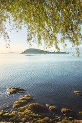 Parque Darke de Mattos, Ilha de Paquet&aacute;, Rio de Janeiro