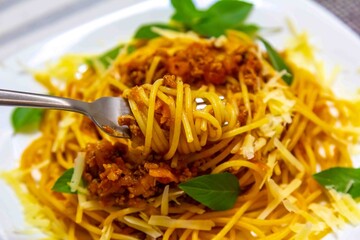 The most traditional spaghetti bolognese, well-lit and well-framed photo