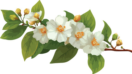 Botanical Beauty: Stunning Plant with White Flowers and Green Leaves Vector Illustration