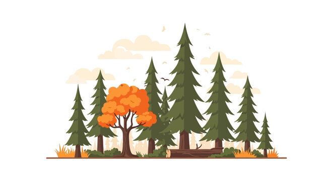 A vibrant orange autumn tree stands out among tall green pine trees in a forest illustration. Flat Vector Illustrations. EPS Editable