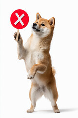 バツ印のサインを持ち上げる立ち姿の柴犬
