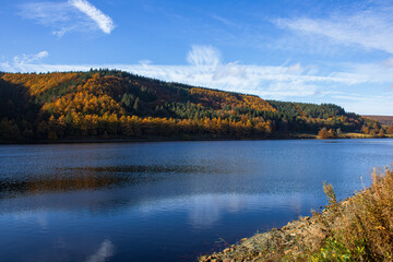 Autumn forest by the river, 
Upper Derwent valley, Peak District National Park, UK