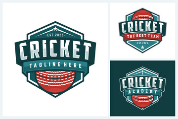 Cricket logo sport design template, cricket team emblem collection, cricket tournament badge logo design vector illustration