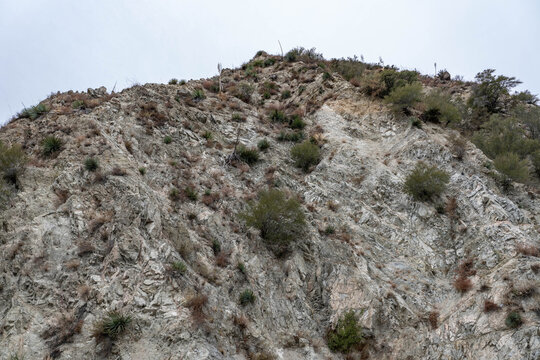 LA View 2. Angeles Crest Highway, Los Angeles County, , California. San Gabriel Mountains. Angeles National Forest. Quartz Diorite. ( qd ) Massive non - gneissoid quartz diorite.
