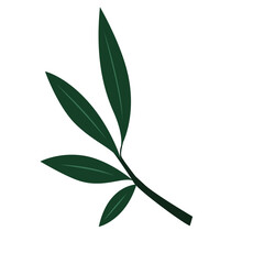 Symmetrical green leaf branch, ideal for balanced, elegant, or Scandinavian-style design compositions.

