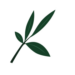 Fresh green leaf branch with three leaves, perfect for natural, eco, or spring-themed visuals.

