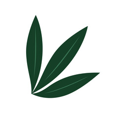 Fototapeta premium Curved green leaves in trio, ideal for natural, organic, or modern branding and layout designs.