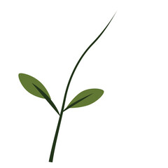 Simple green plant stem with two leaves, perfect for eco, nature, or minimalist design projects.


