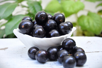 Delicious ripe jabuticaba fruits (Plinia cauliflora)