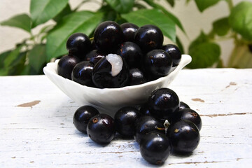 Delicious ripe jabuticaba fruits (Plinia cauliflora)