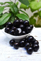 Delicious ripe jabuticaba fruits (Plinia cauliflora)