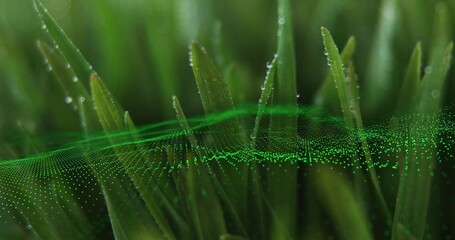 Shimmering grass blades glistening with dewdrops in dewy meadow, with floating green particle wave © vectorfusionart