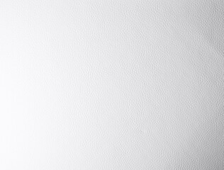 ホワイトレザー