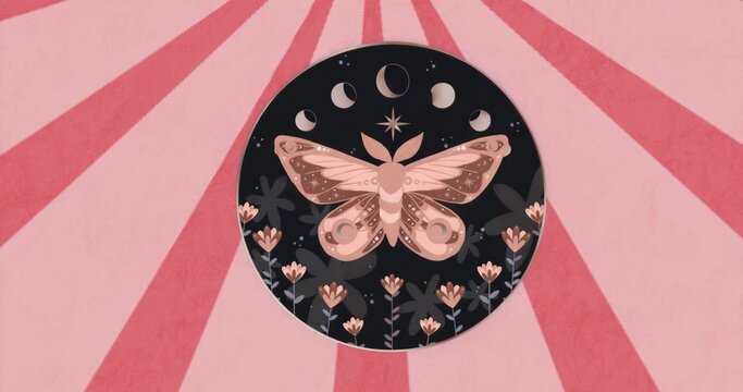 Naklejki Displaying stylized moth and moon phases in abstract circular design, with florals and pink rays