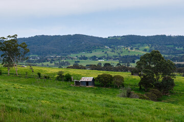 Rolling hills in the Yarra Valley - Yering, Victoria, Australia