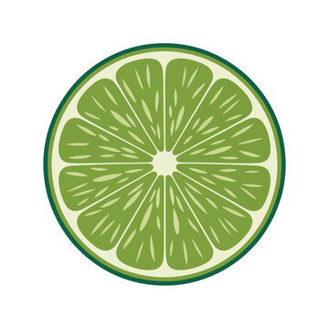 Fresh bright green lime slice closeup detailed illustration citrus fruit healthy food dessert ingredient vector image