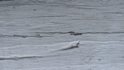 Old wood painted white