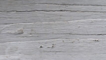 Old wood painted white