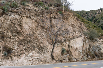 Hornblende Diorite - Gabbro.  Angeles Crest Highway, Los Angeles County, , California. San Gabriel Mountains. Angeles National Forest. Cut (earthworks)
