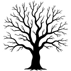 Silhouette of a bare tree in black color