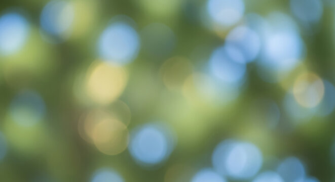 Bokeh light green and blue nature abstract background