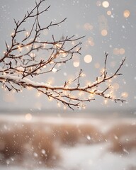 Snowy Branches With Christmas Lights In Winter Landscape