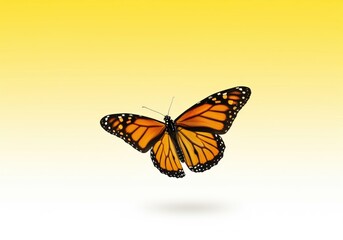 Fototapeta premium Vibrant monarch butterfly flying isolated against a bright yellow gradient background.