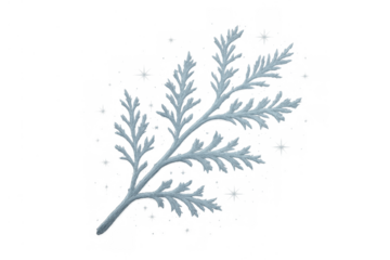 Winter branch covering with snow or hoarfrost, creating a freezing nature scene on transparent background