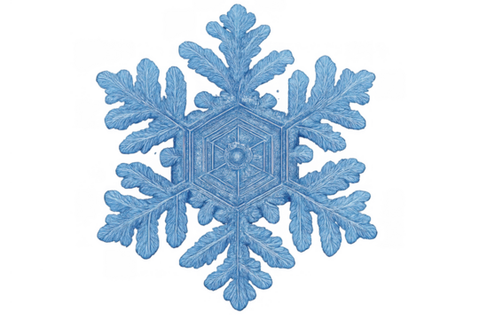 Snowflake ice crystal, intricate fern-like structure, winter season cold temperature, transparent background