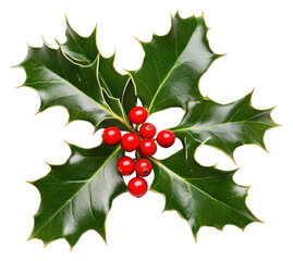 PNG Christmas holly with red berries christmas leaves plant.
