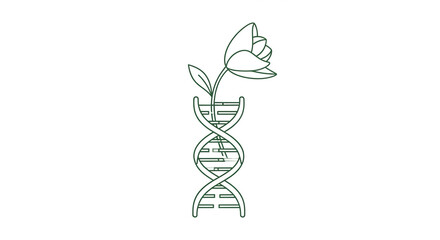 minimalist icon of DNA strand turning into a blooming flower — growth and life