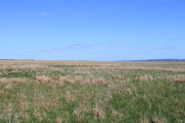 Obraz premium Grassy field with no trees on a sunny day in County Clare, Ireland