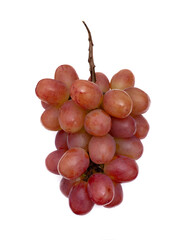 ブドウ　クイーンルージュ