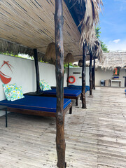 Natural resort and old wood