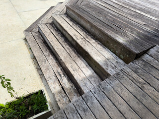 Natural resort and old wood