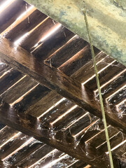 Natural resort and old wood