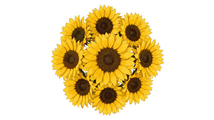 Vibrant Yellow Sunflower Bouquet Isolated on White Background for Summer and Nature Concepts