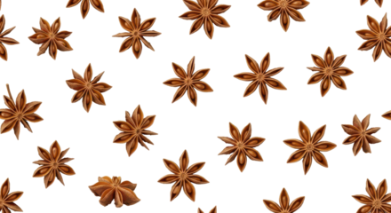 Anise star pattern isolated PNG with Transparent Background
