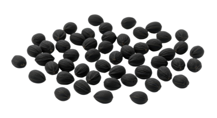 Nigella sativa seeds, black cumin seeds isolated PNG with Transparent Background