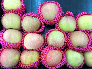 Juicy apples in pink protective netting promise fresh taste and healthy eating, a vibrant display...