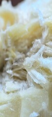 Textured flesh crystalline white structure macro