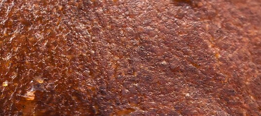 Translucent textured and glistening amberbrown substance