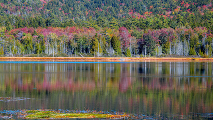 Beautiful autumn scenes on shore with perfect reflections under a sunny day
